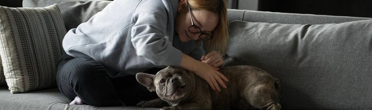 9 Best Dog Sitting Services of 2025 – Which Service Is Right for Your Pet?
