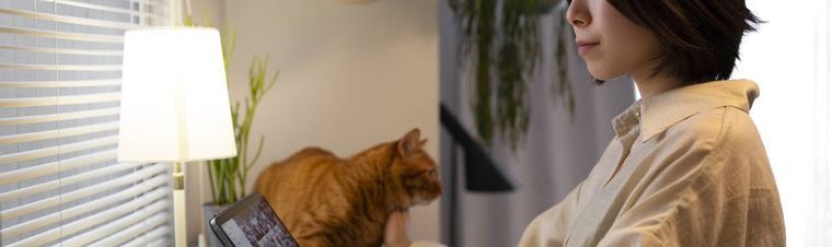 Cat Boarding: What Is It and How Much Does It Cost?
