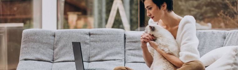 HouseCarers Review: Is This House Sitting Platform Still Relevant?